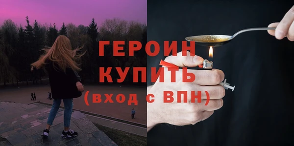 гидра Кодинск