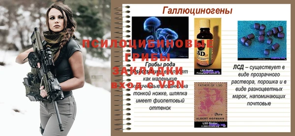 амф Алзамай