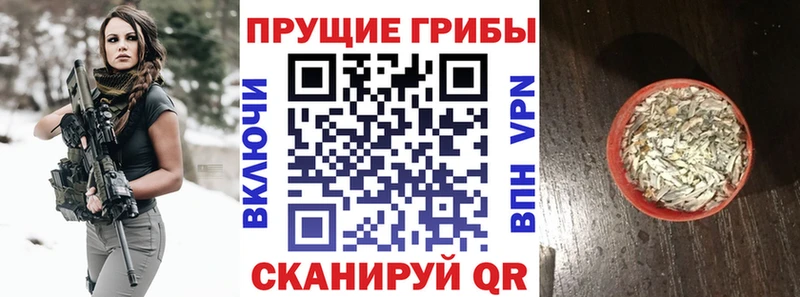 Псилоцибиновые грибы ЛСД Пустошка